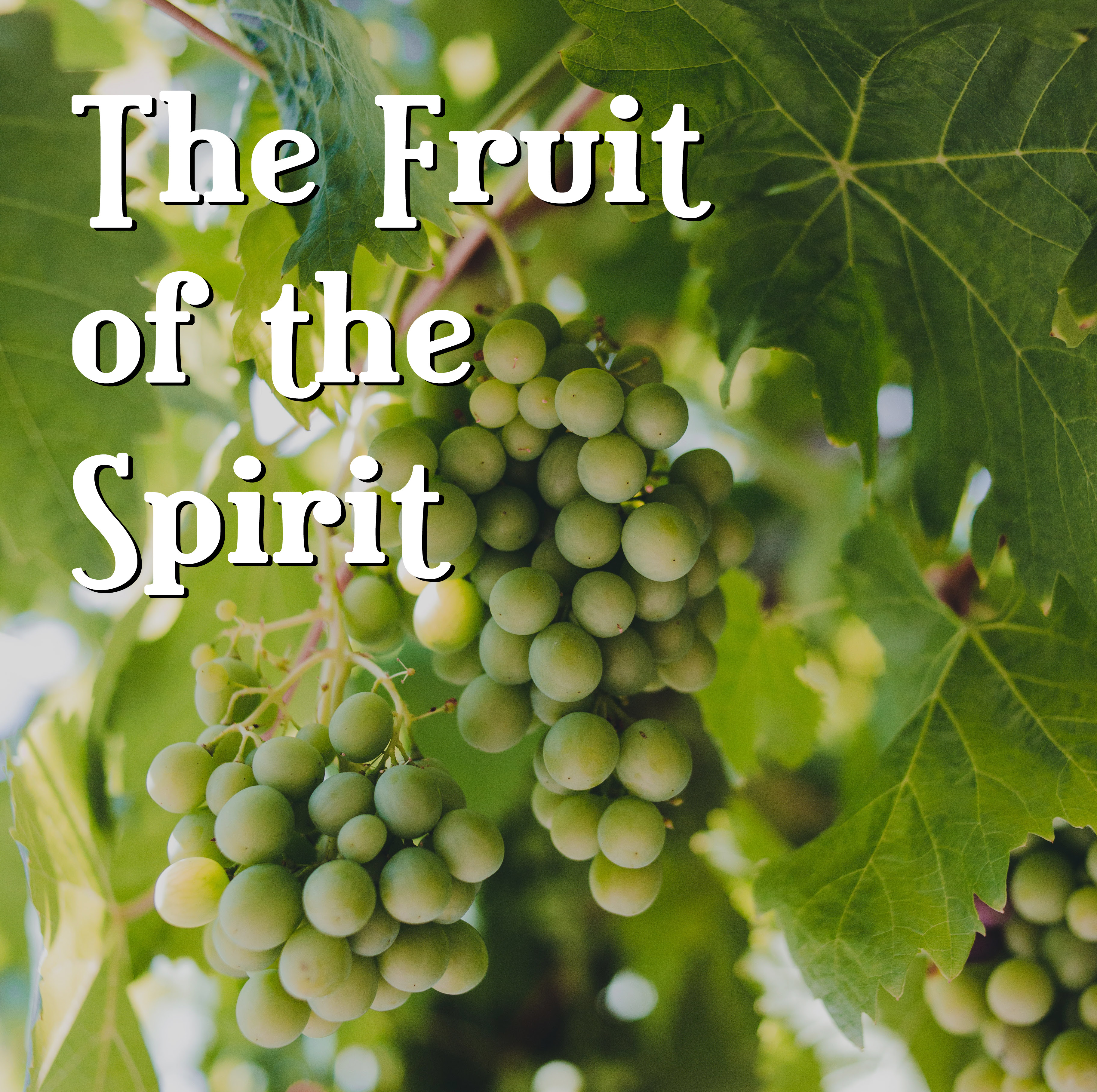 fruit of the spirit